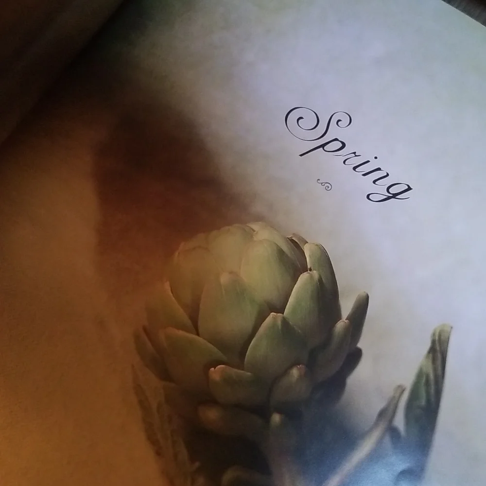 Cookbook Williams-Sonoma 